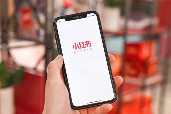 Meta Reels+小红书双引擎：2024跨境品牌高效获客新策略