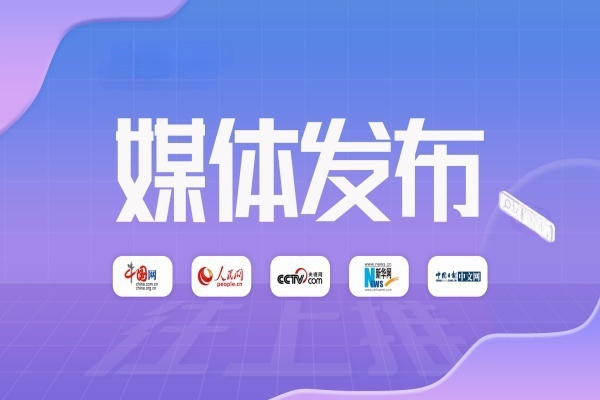 告别零敲碎打：一份给运营者的体系化自媒体搭建与增长指南